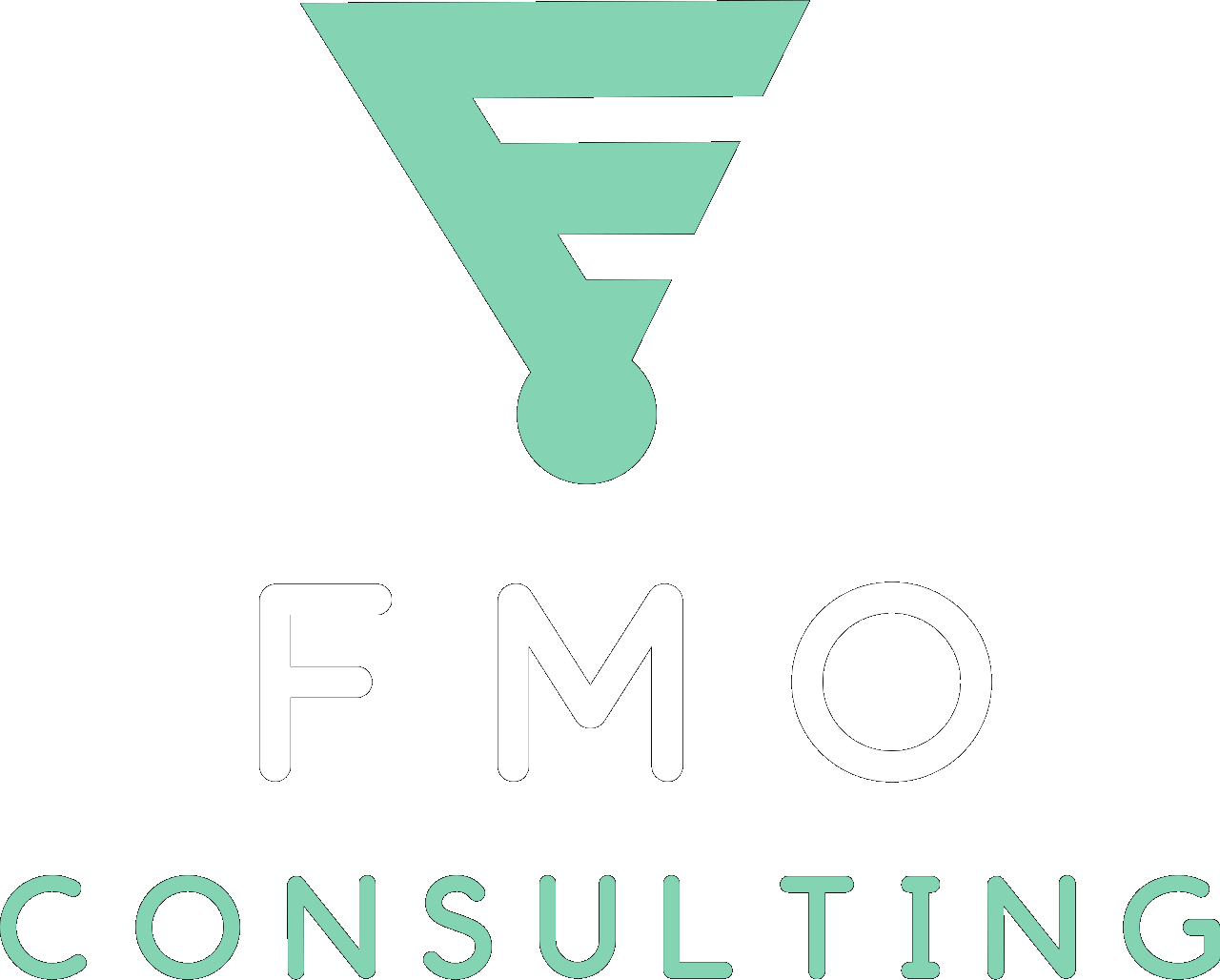 FMO Logo